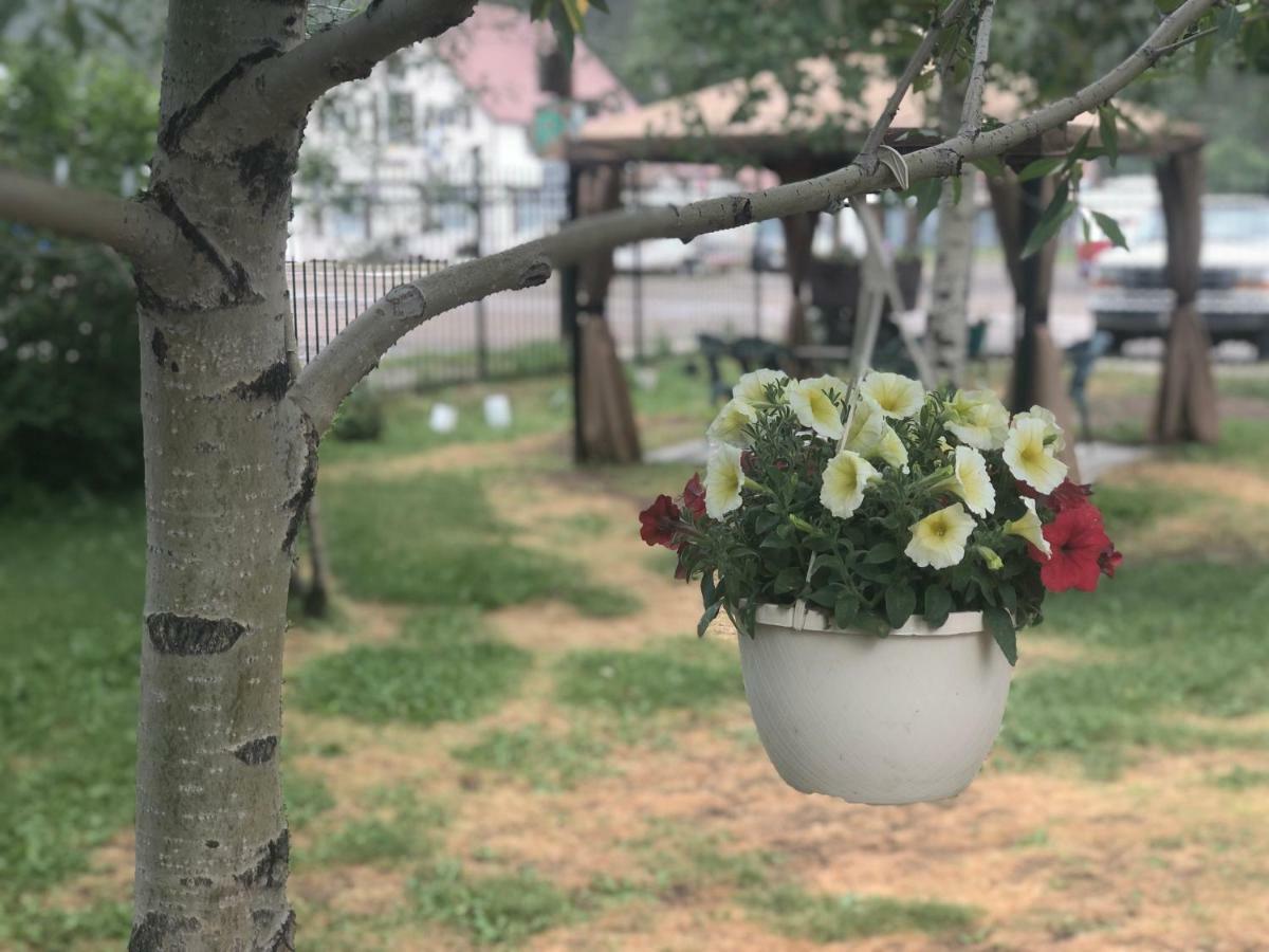 Villa Dallavalle Inn Silverton 外观 照片